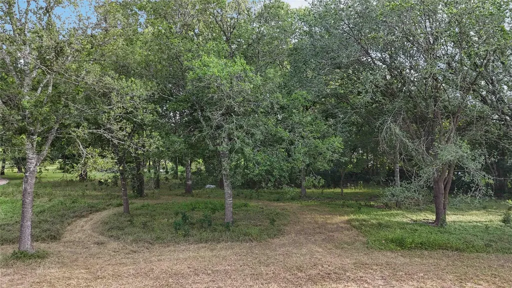 Tbd Fannin Street Martindale TX 78655