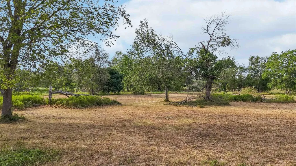 Tbd Fannin Street Martindale TX 78655