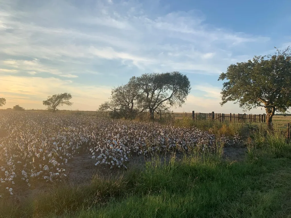 TBD2 County Road 154 Georgetown TX 78626