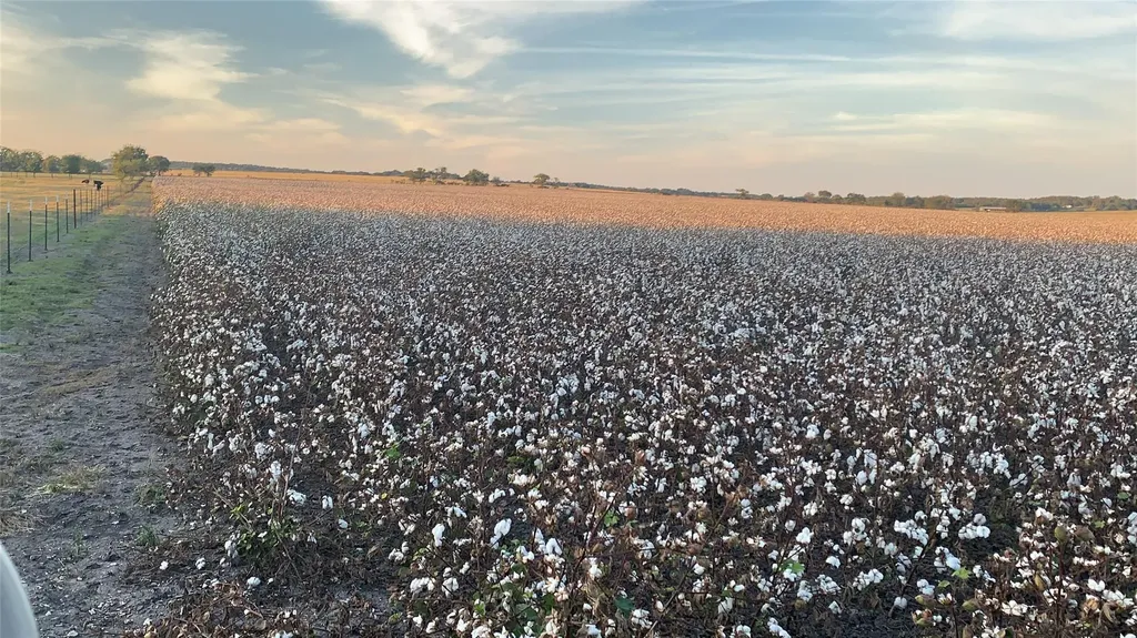 TBD2 County Road 154 Georgetown TX 78626
