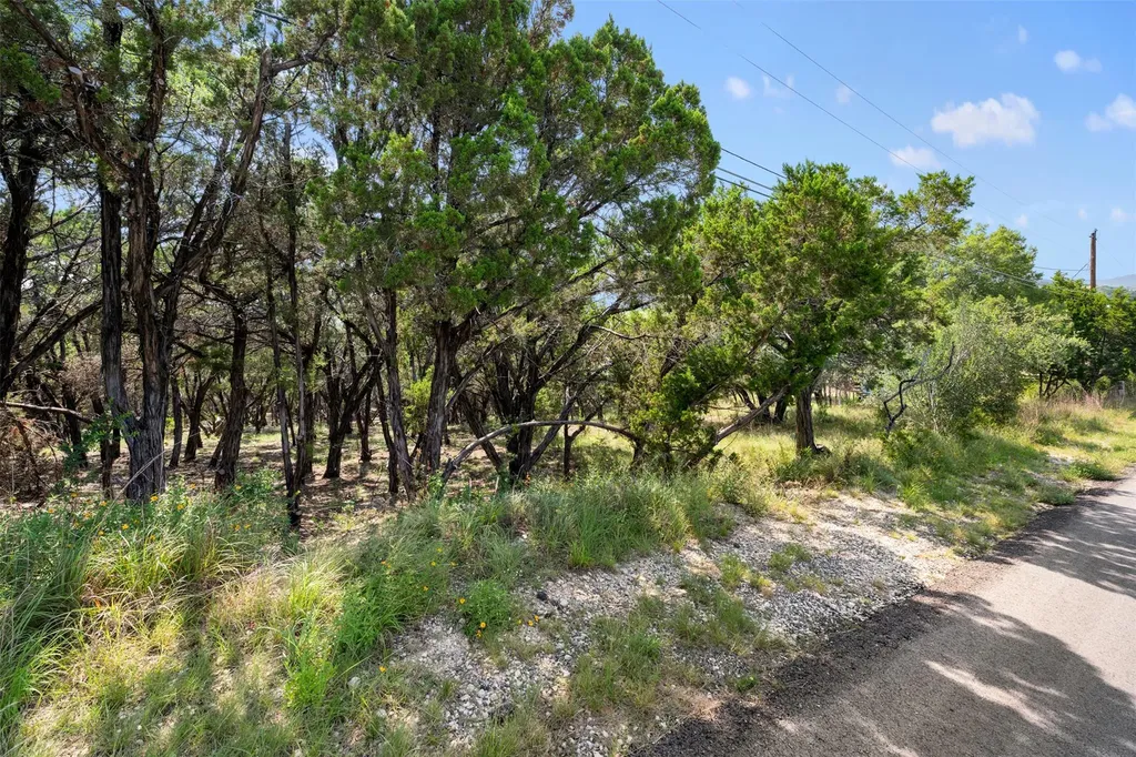 21105 Ridgeview Road Lago Vista TX 78645