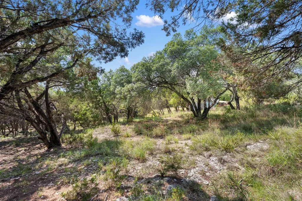 21105 Ridgeview Road Lago Vista TX 78645