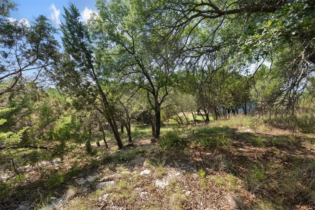 21105 Ridgeview Road Lago Vista TX 78645