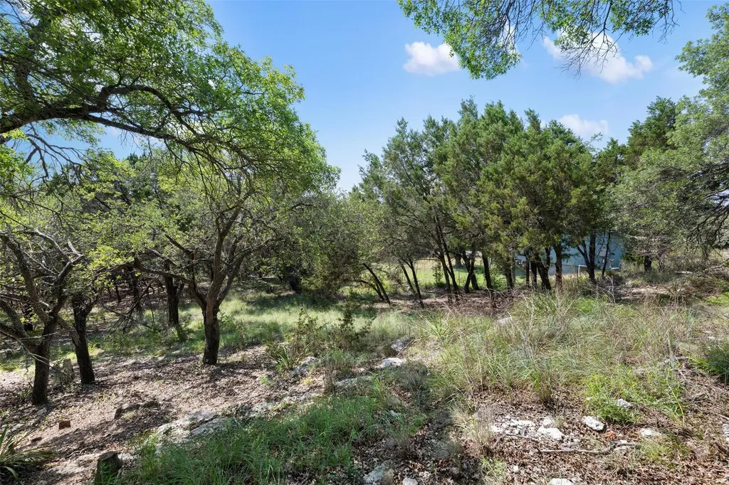 21105 Ridgeview Road Lago Vista TX 78645