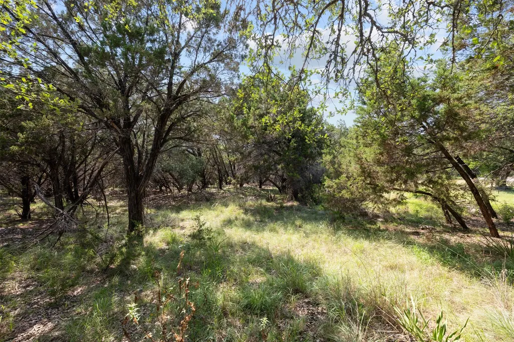 21105 Ridgeview Road Lago Vista TX 78645
