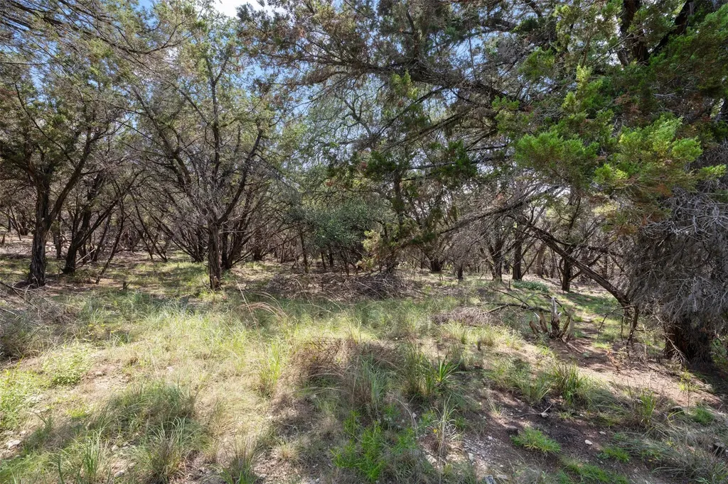 21105 Ridgeview Road Lago Vista TX 78645
