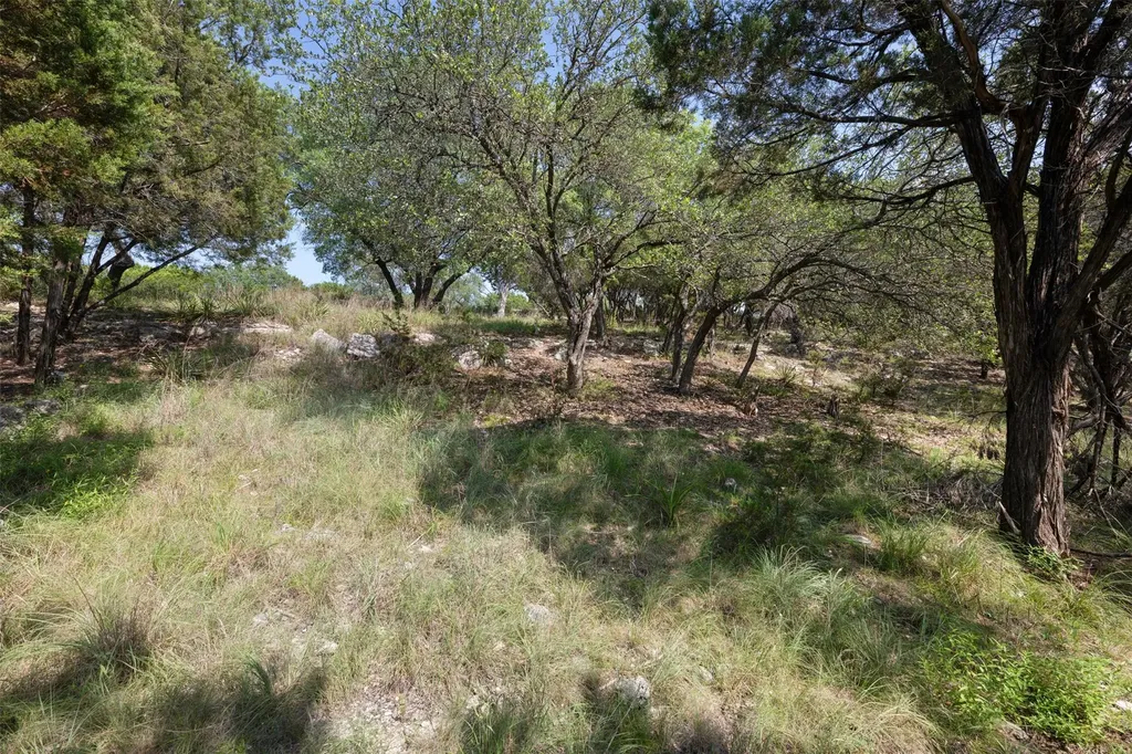 21105 Ridgeview Road Lago Vista TX 78645