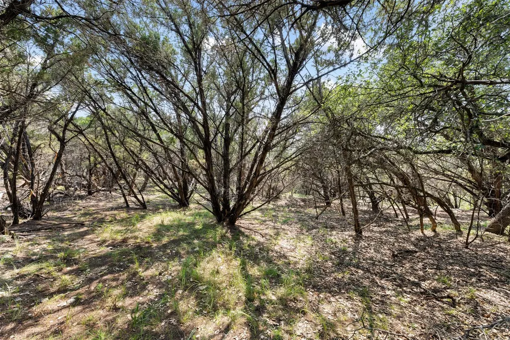 21105 Ridgeview Road Lago Vista TX 78645