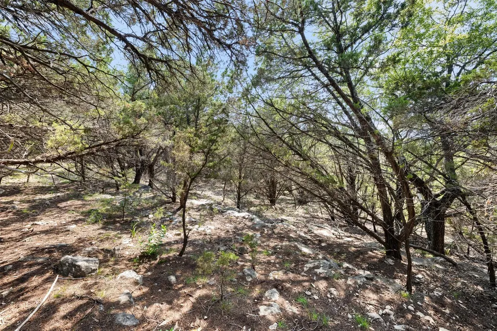 21105 Ridgeview Road Lago Vista TX 78645