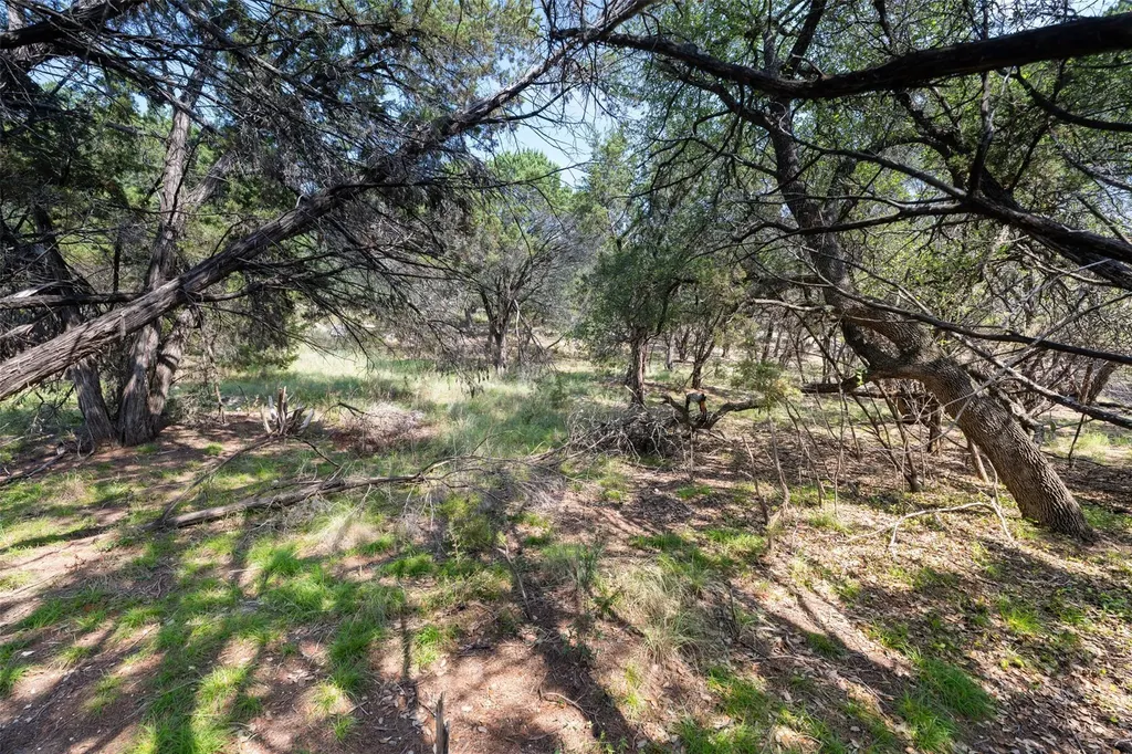 21105 Ridgeview Road Lago Vista TX 78645