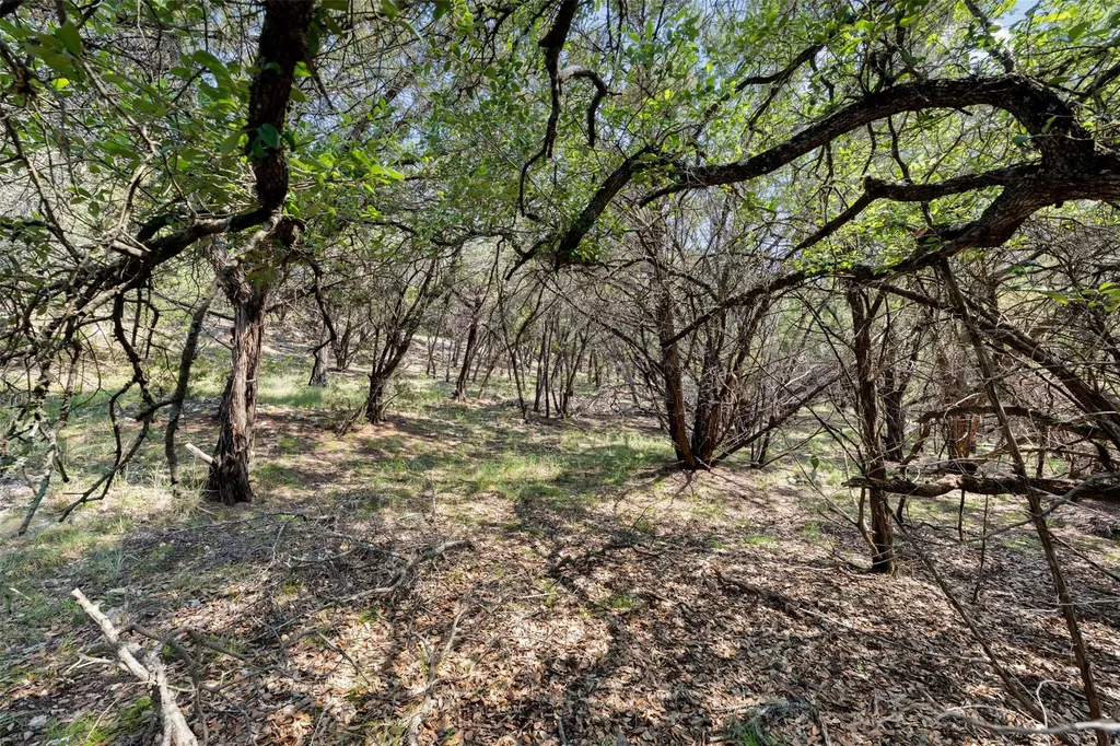21105 Ridgeview Road Lago Vista TX 78645