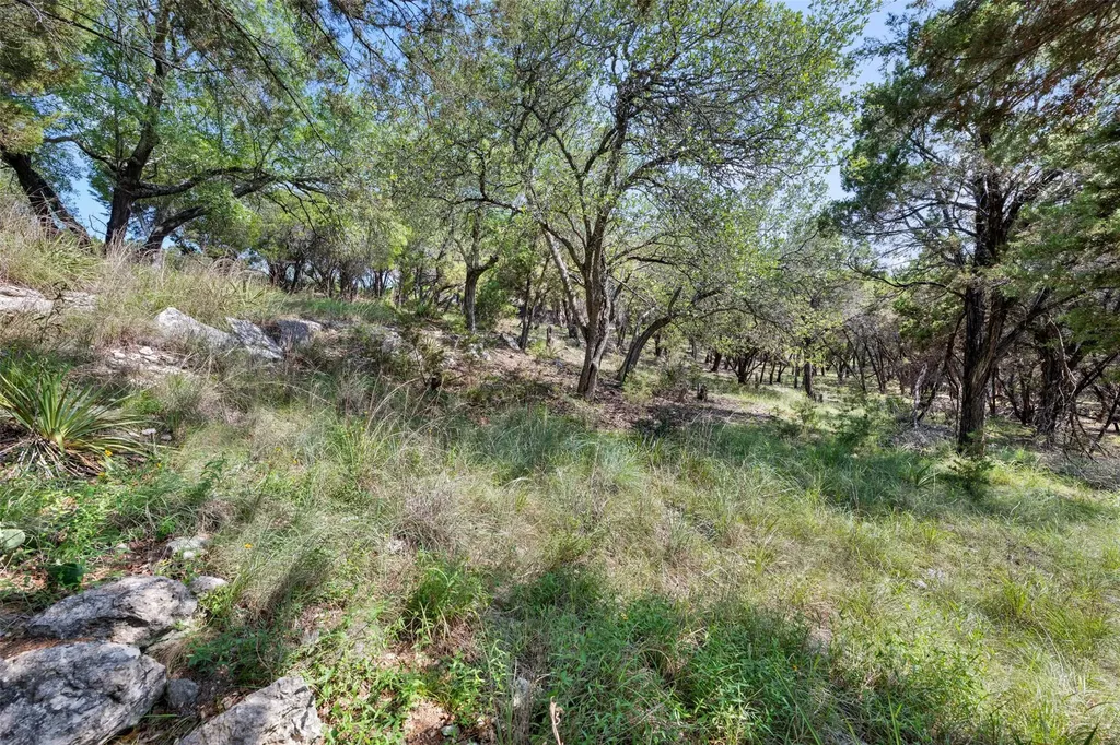 21105 Ridgeview Road Lago Vista TX 78645