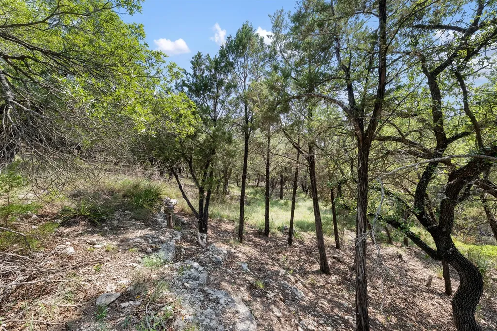 21105 Ridgeview Road Lago Vista TX 78645