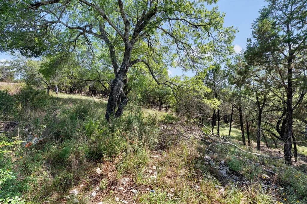 21105 Ridgeview Road Lago Vista TX 78645