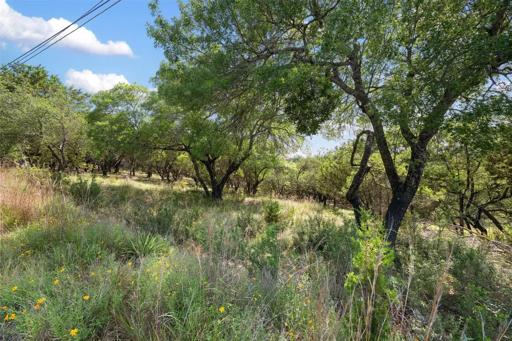 21105 Ridgeview Road Lago Vista TX 78645
