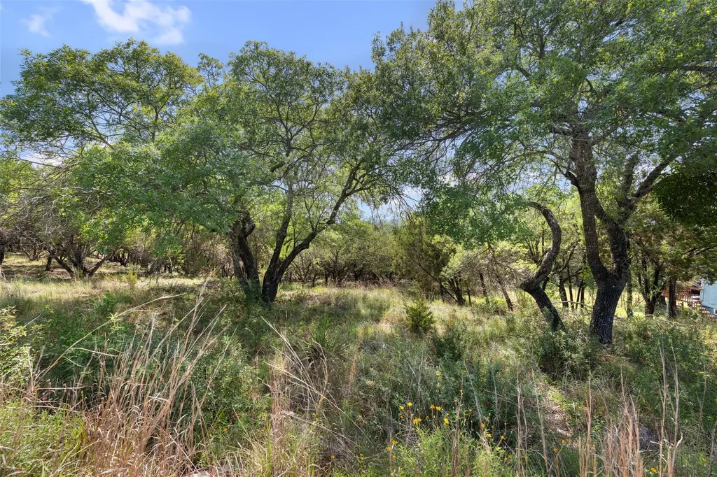 21105 Ridgeview Road Lago Vista TX 78645