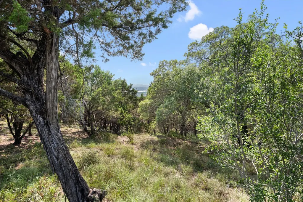 21105 Ridgeview Road Lago Vista TX 78645