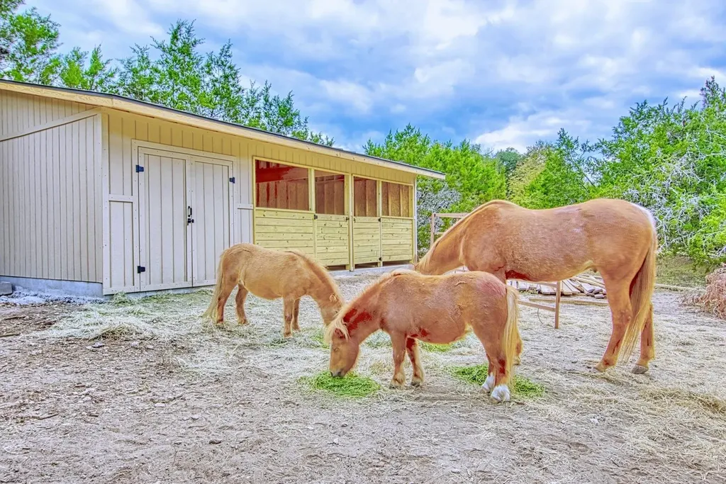 447 Miss Donna Lane Dripping Springs TX 78620