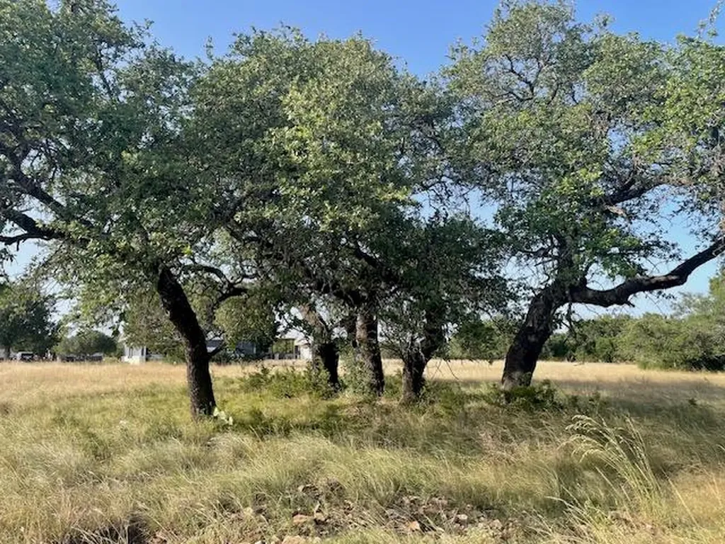 Lot 4 Oak Vista Drive Burnet TX 78611