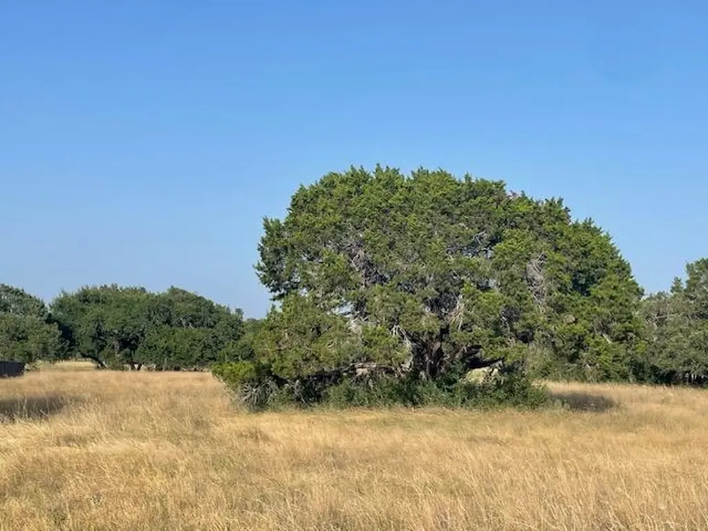 Lot 4 Oak Vista Drive Burnet TX 78611