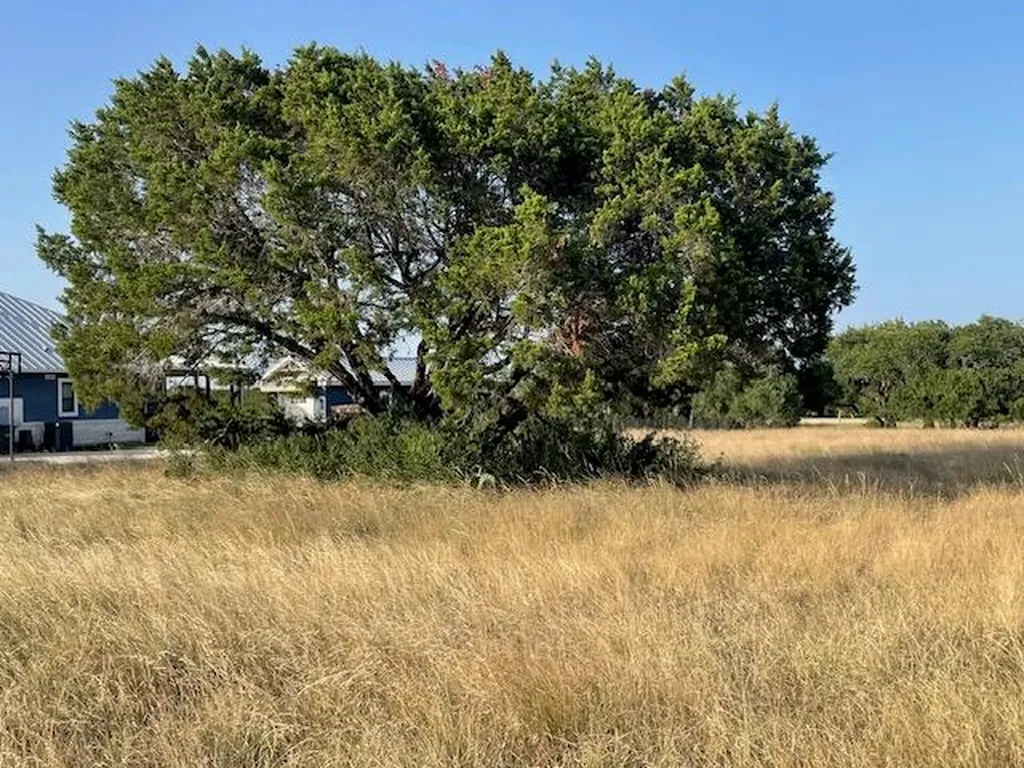 Lot 4 Oak Vista Drive Burnet TX 78611