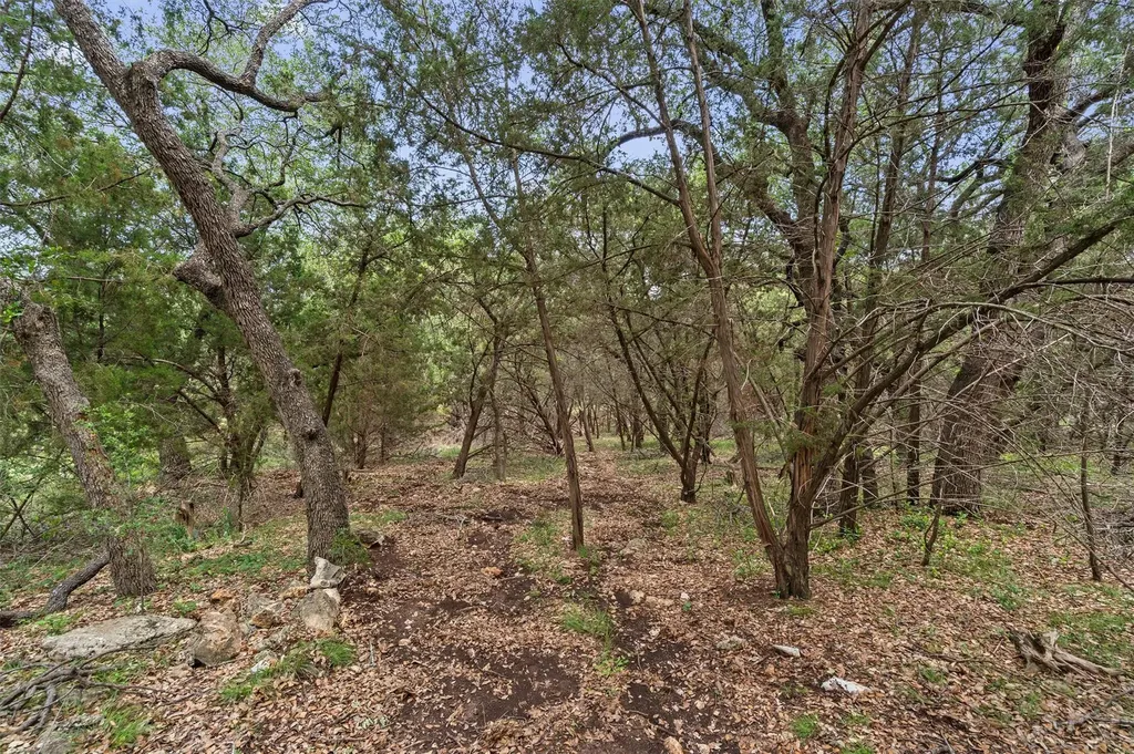 120 E Rustle Cove Georgetown TX 78628