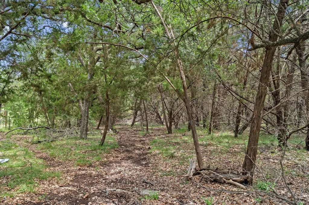 120 E Rustle Cove Georgetown TX 78628