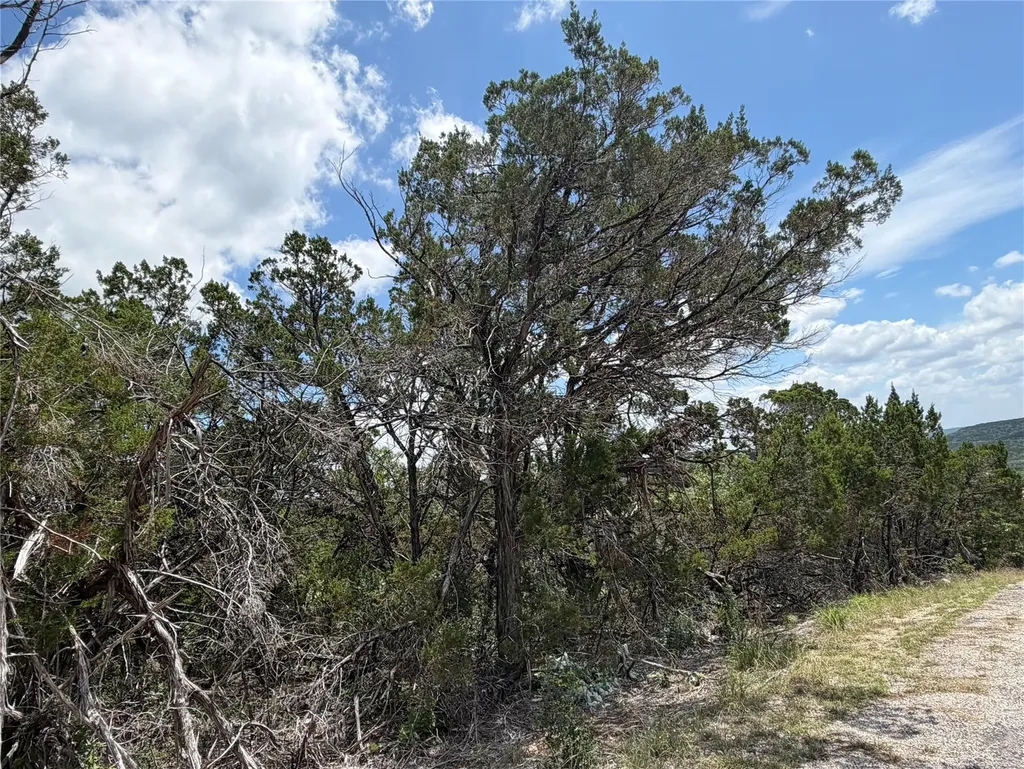 20800 Ranger Trail Lago Vista TX 78645