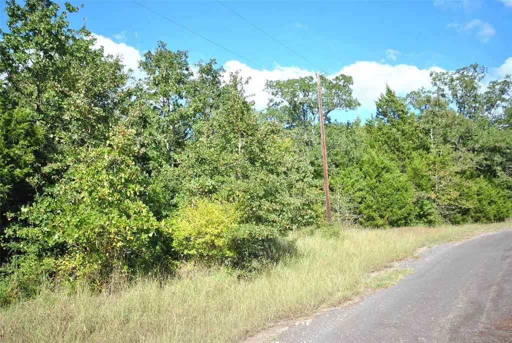 Lot 24 Lcr 910 Jewett TX 75846