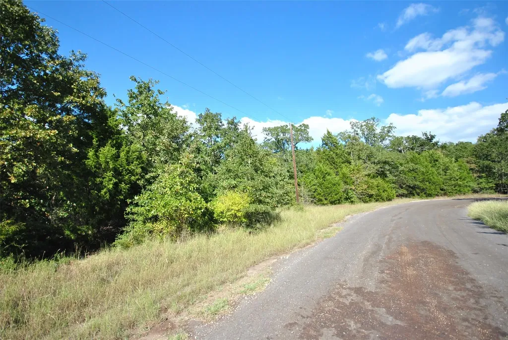Lot 24 Lcr 910 Jewett TX 75846