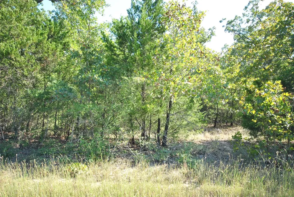 Lot 24 Lcr 910 Jewett TX 75846