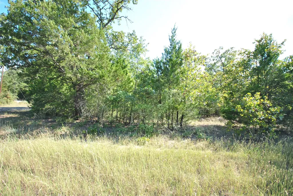 Lot 24 Lcr 910 Jewett TX 75846