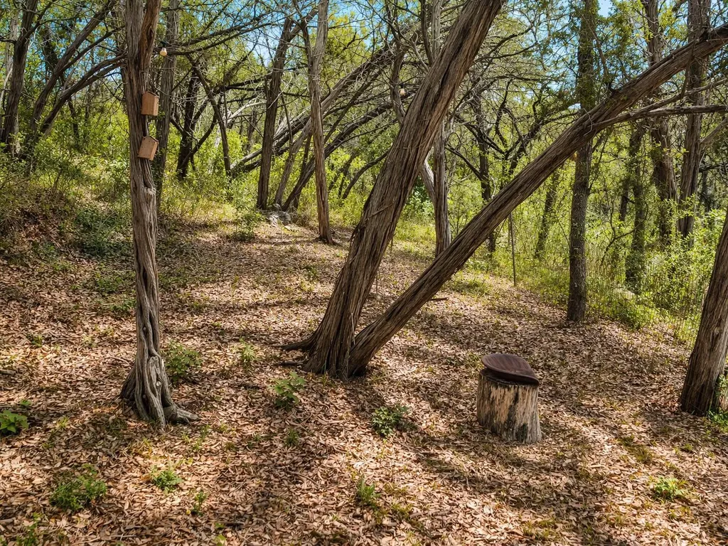 13967 Fm 2769 Leander TX 78641