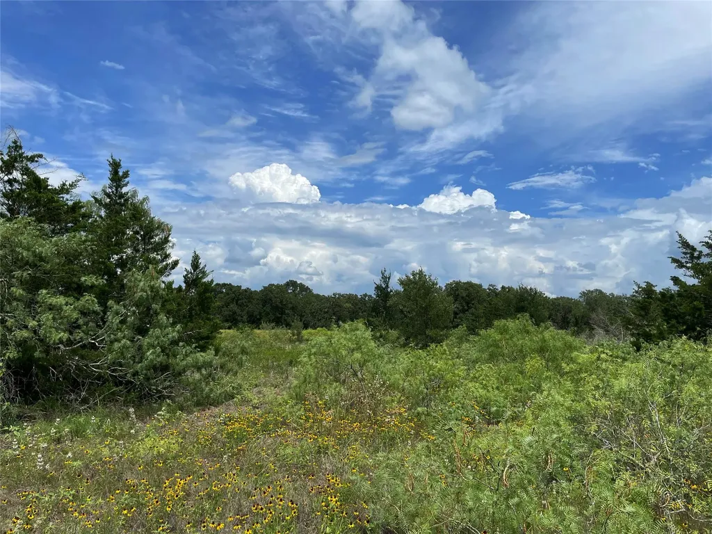 Tbd Fm 141 Giddings TX 78942