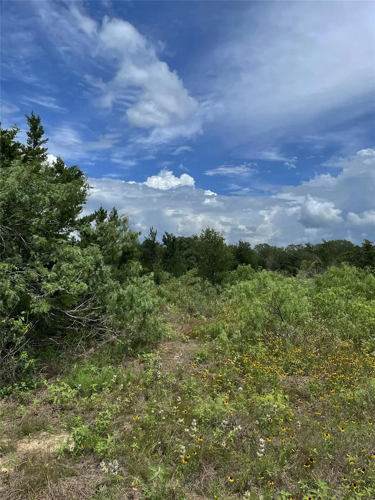 Tbd Fm 141 Giddings TX 78942