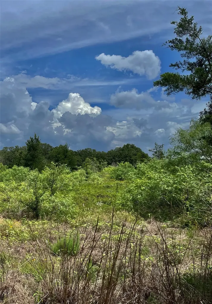Tbd Fm 141 Giddings TX 78942