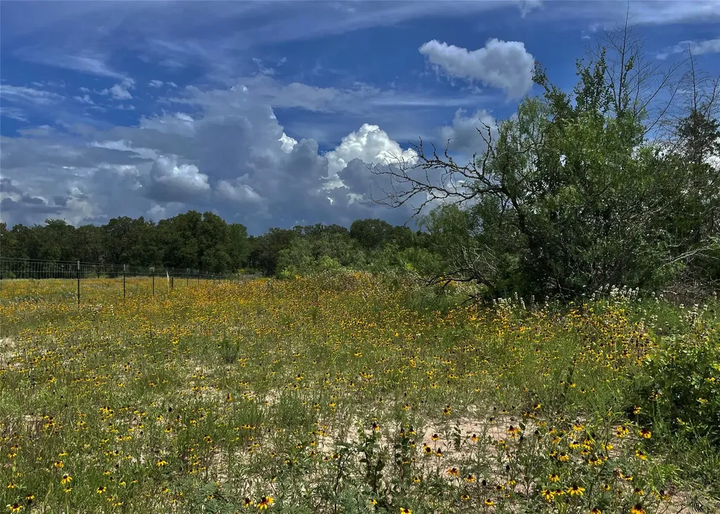 Tbd Fm 141 Giddings TX 78942