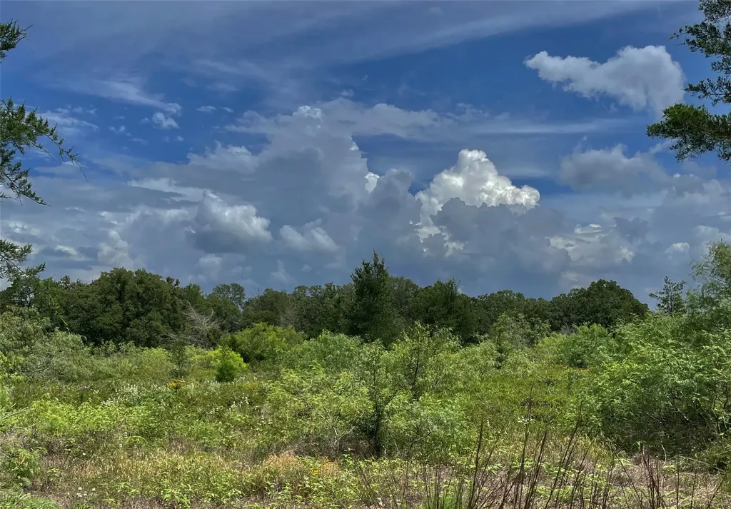 Tbd Fm 141 Giddings TX 78942