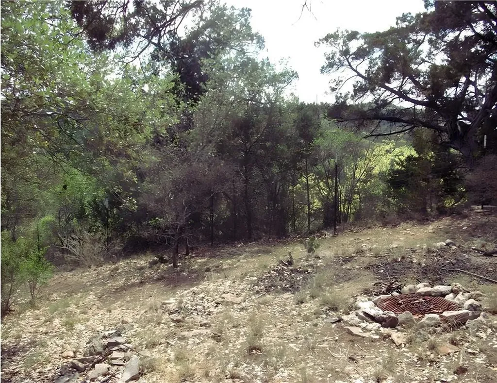 18201 Gregg Bluff Road Jonestown TX 78645