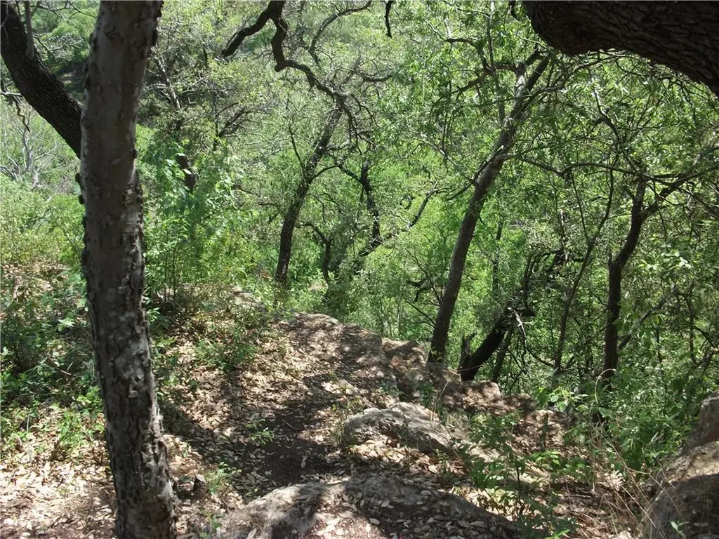 18201 Gregg Bluff Road Jonestown TX 78645