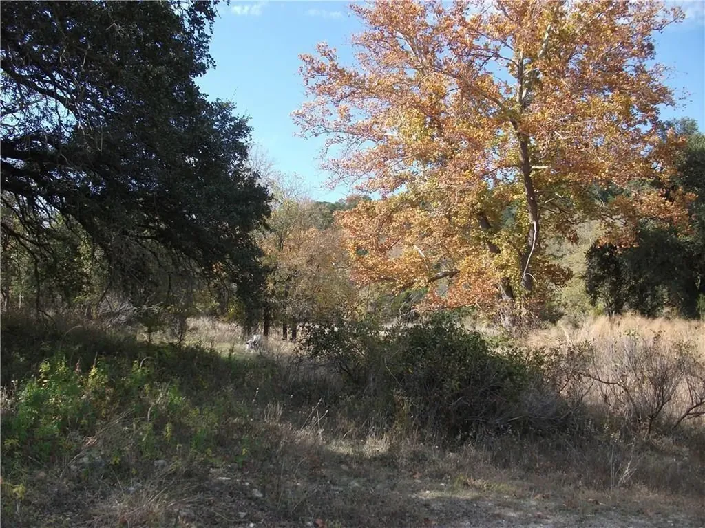 18201 Gregg Bluff Road Jonestown TX 78645