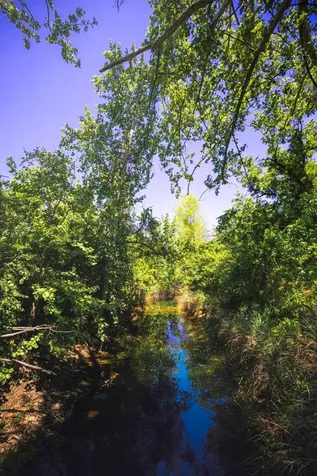 12451 Fm 2325 Road Wimberley TX 78676
