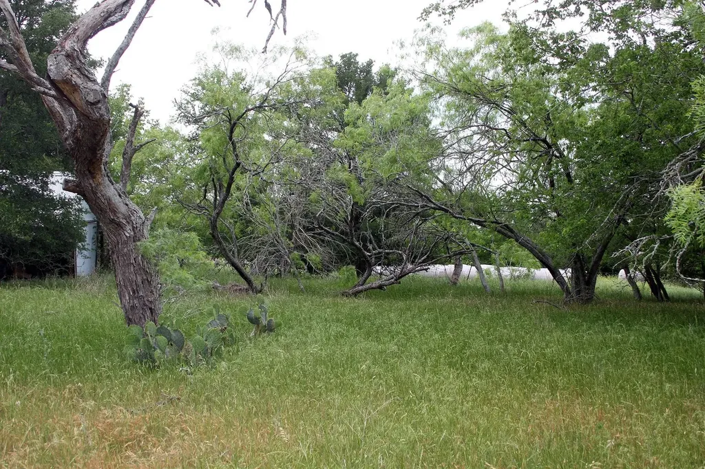 7887 Pettytown Road Red Rock TX 78662