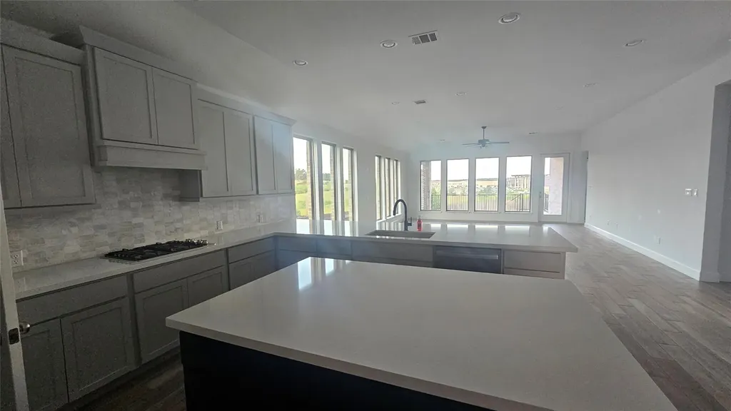 145 Cyrus Milton Drive Buda TX 78610
