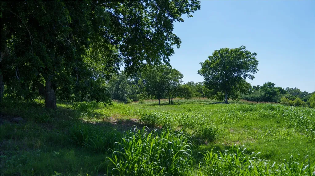 Tbd Lost Acres Loop Blanco TX 78606