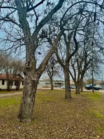 202 NE 2nd Street Smithville TX 78957