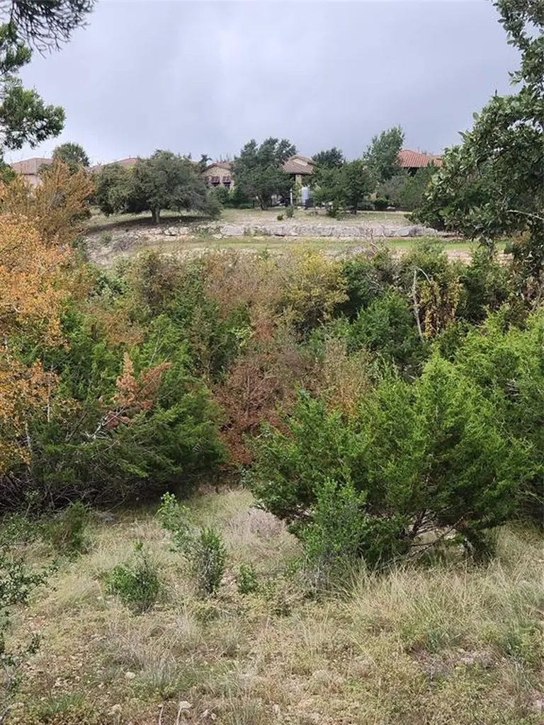 2301 Ambush Canyon Leander TX 78641