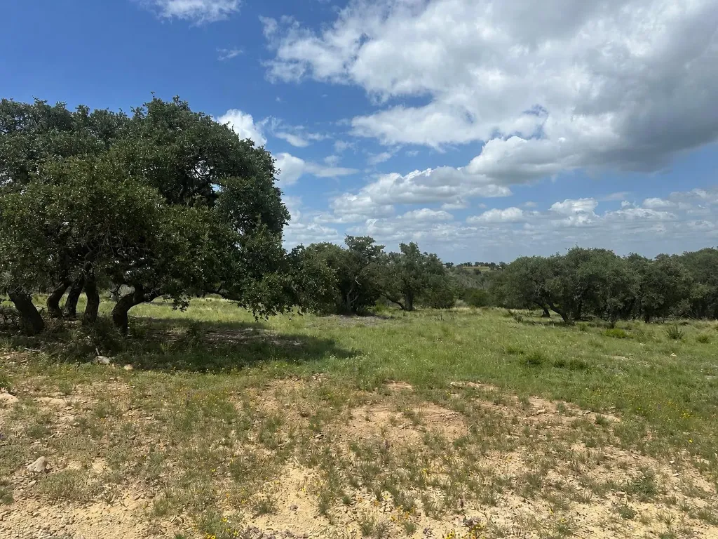 140 Longview Lane San Saba TX 76877