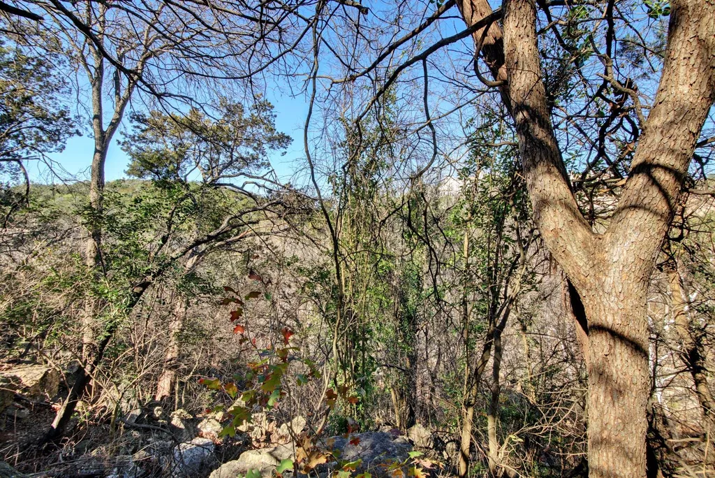 2306 Forest Bend Drive Austin TX 78704