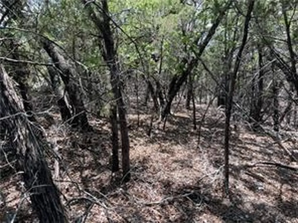 20610 Agarita Drive Leander TX 78645